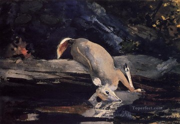 フォールン・ディア・リアリズム画家ウィンスロー・ホーマー Oil Paintings